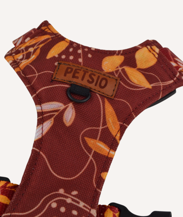 bezucisk jesienne 2 Szelki Bezuciskowe JESIENNE SZALEŃSTWO