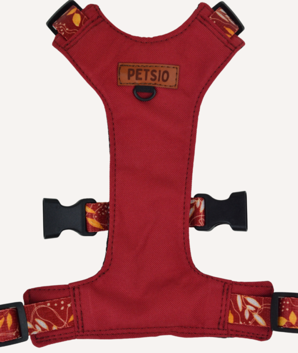 bezucisk jesienne 3 Szelki Bezuciskowe JESIENNE SZALEŃSTWO