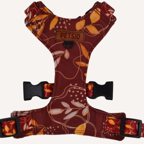 Szelki Bezuciskowe dla psa JESIENNE SZALEŃSTWO