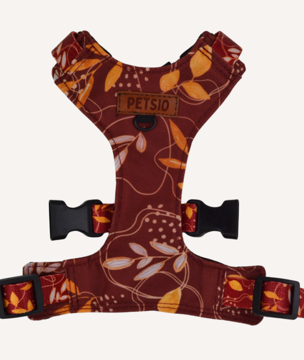 bezucisk jesienne Szelki Bezuciskowe dla psa JESIENNE SZALEŃSTWO