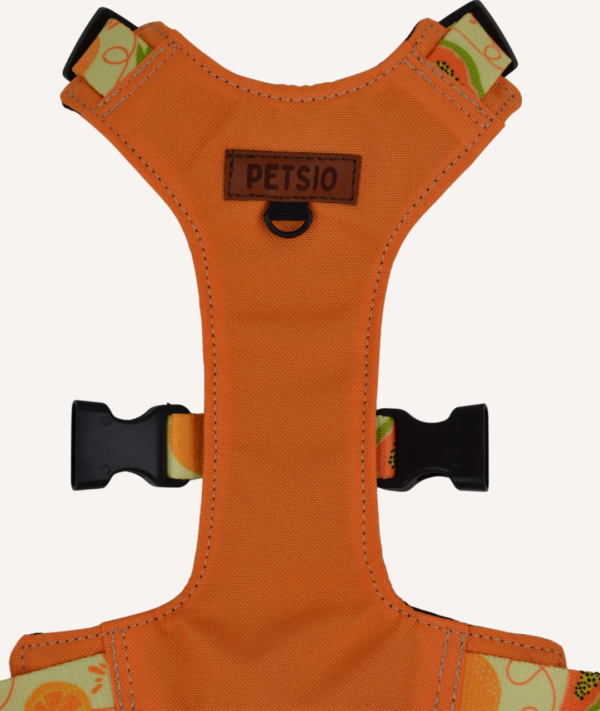 Szelki Bezuciskowe OWOCOWY TROPIK