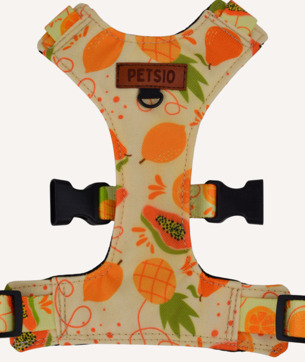 Szelki Bezuciskowe OWOCOWY TROPIK