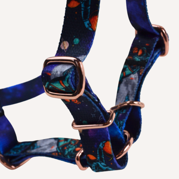 Szelki Guard dla psa