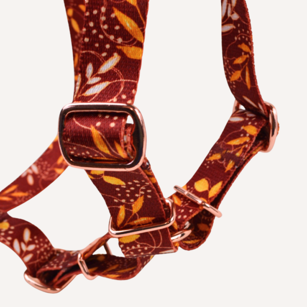 Szelki Guard JESIENNE SZALEŃSTWO