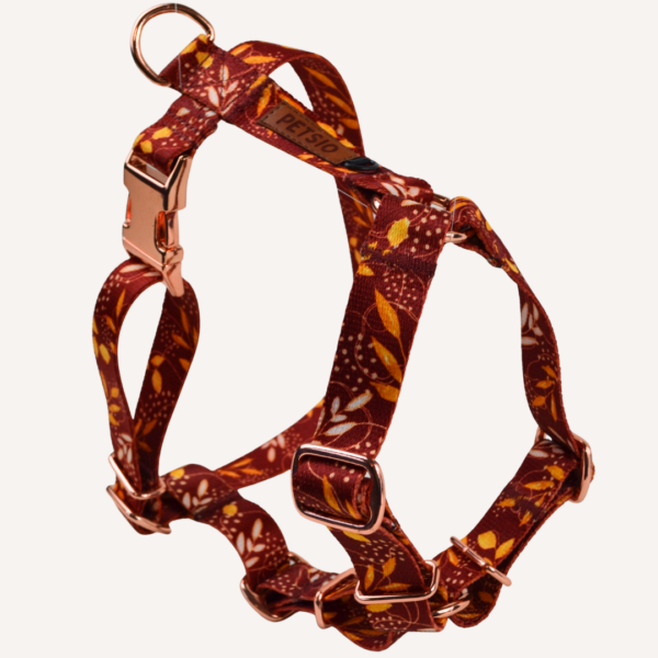 Szelki Guard dla psa