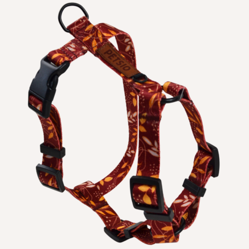 Szelki Guard dla psa JESIENNE SZALEŃSTWO