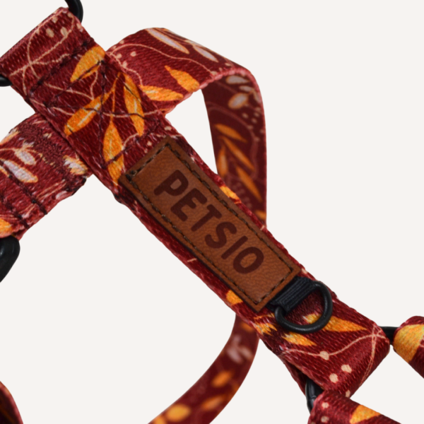 Szelki Guard JESIENNE SZALEŃSTWO