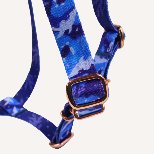 Szelki Guard OCEANICZNA GŁĘBIA