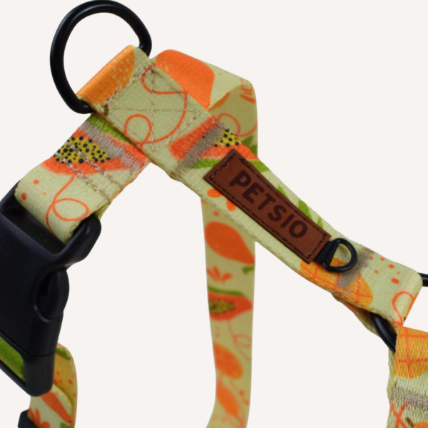 guard owoc 3 Szelki Guard OWOCOWY TROPIK