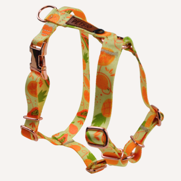 guard owoc 4 Szelki Guard OWOCOWY TROPIK