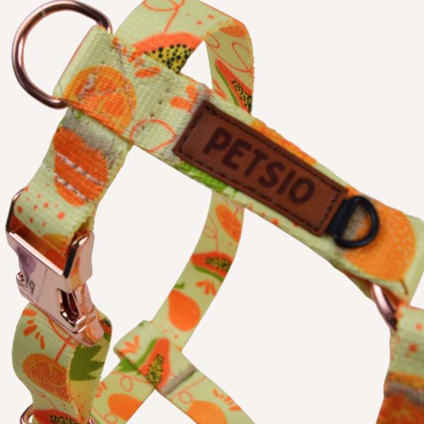 guard owoc 5 Szelki Guard OWOCOWY TROPIK