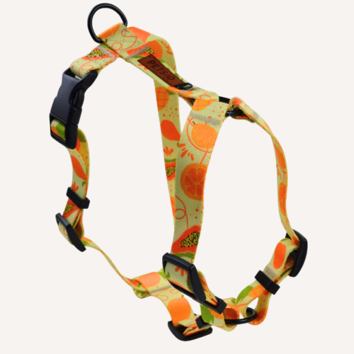 Szelki Guard OWOCOWY TROPIK