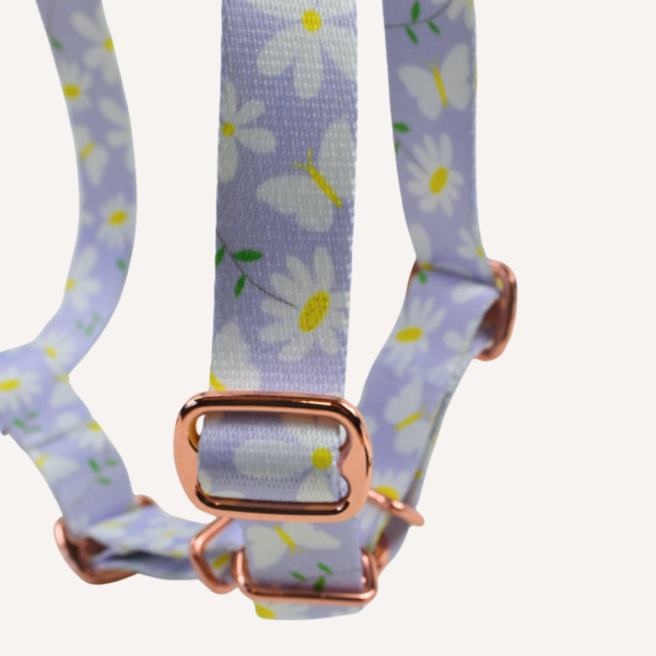 guard stok 3 Szelki Guard STOKROTKI