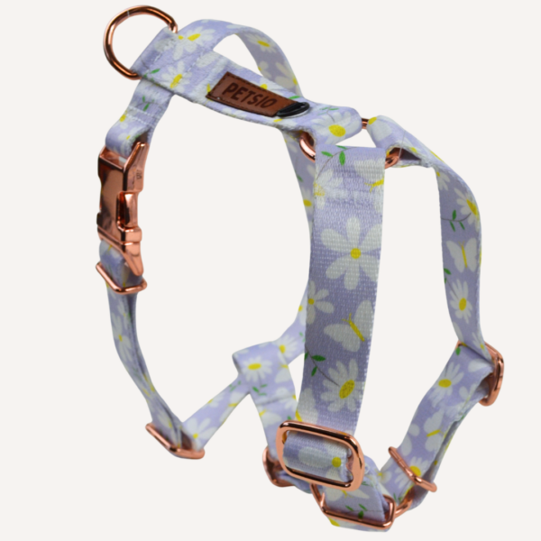 guard stok Szelki Guard dla psa