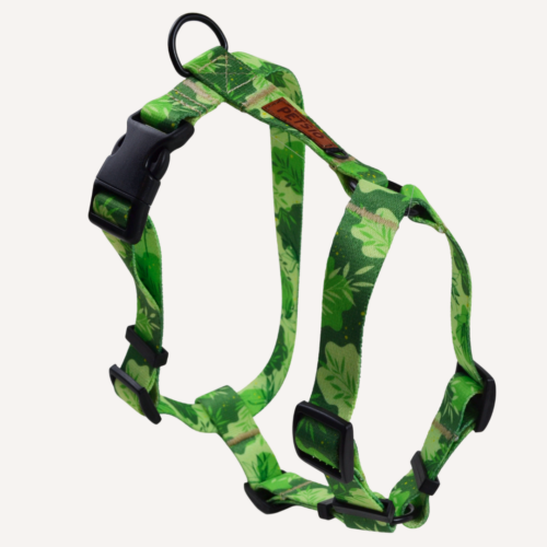 Szelki Guard dla psa ZIELONO MI