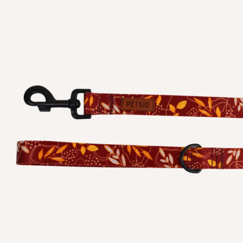 miej jesienne Smycz dla psa JESIENNE SZALEŃSTWO