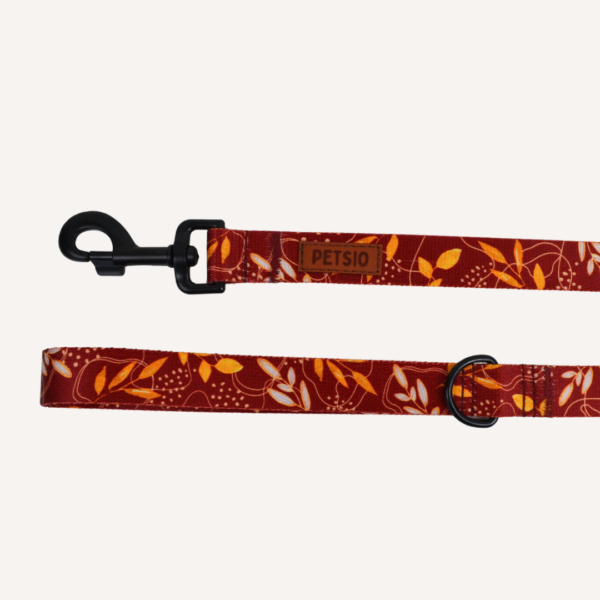 Smycz dla psa JESIENNE SZALEŃSTWO