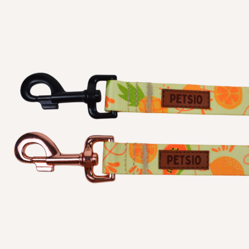 miej owoc 2 Pas samochodowy OWOCOWY TROPIK