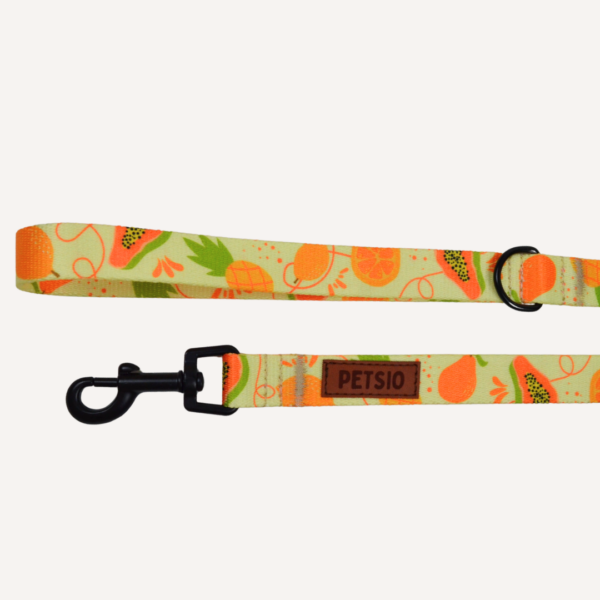 Smycz Miejska OWOCOWY TROPIK