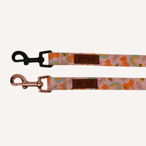 Pas samochodowy dla psa