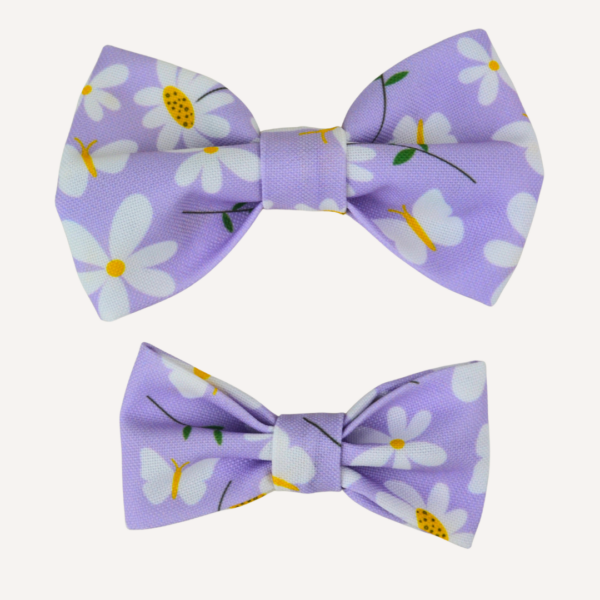 muszka stokrotki 2 MUSZKA DLA PSA