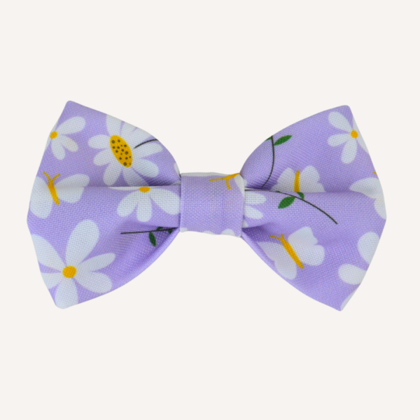 muszka stokrotki MUSZKA DLA PSA