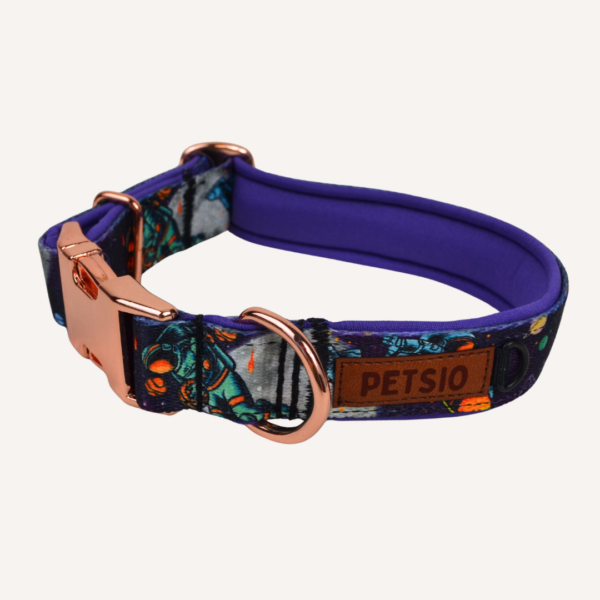 obroża astro Obroża dla psa ASTRONAUTA