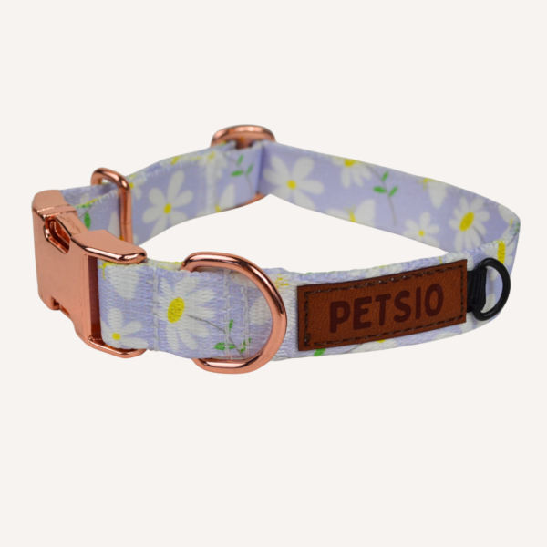 Obroża z klamrą STOKROTKI