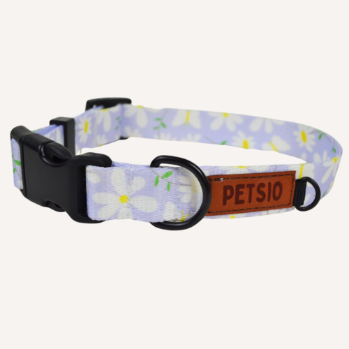 obroża stok Obroża dla psa STOKROTKI