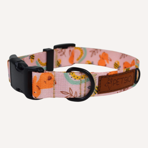 Obroża dla psa USZAKI