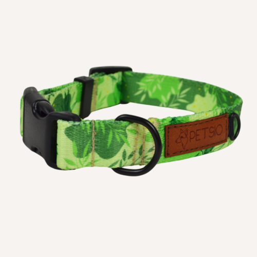 obroża zielono Obroża dla psa ZIELONO MI