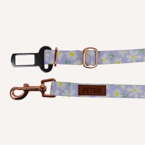 pas stok Pas samochodowy dla psa