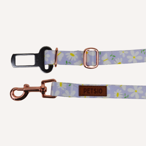 Pas samochodowy dla psa