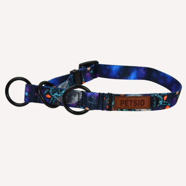 Obroża dla psa ASTRONAUTA