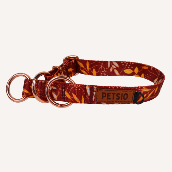 pół jesienne 2 Obroża dla psa