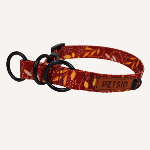 Obroża dla psa JESIENNE SZALEŃSTWO