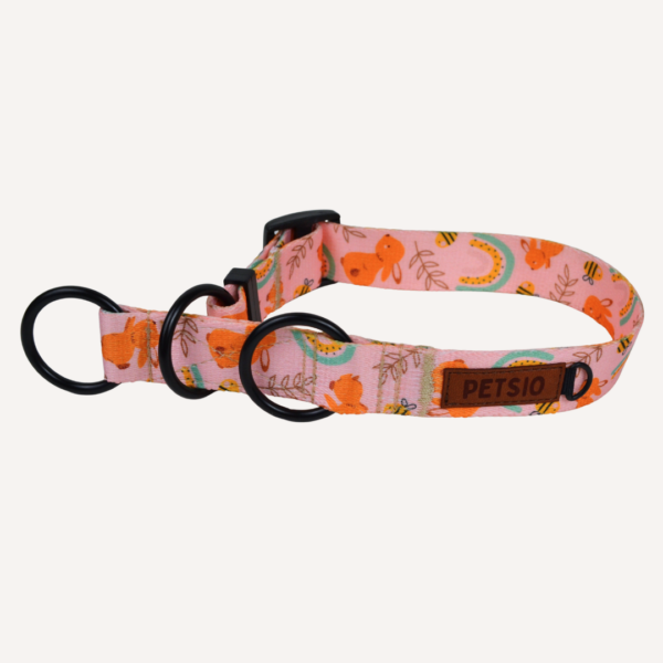 Obroża dla psa USZAKI