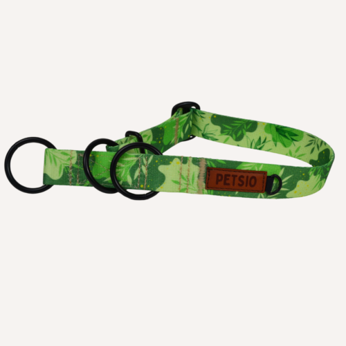 pół zielono Obroża dla psa ZIELONO MI