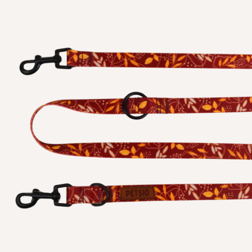 Smycz dla psa JESIENNE SZALEŃSTWO