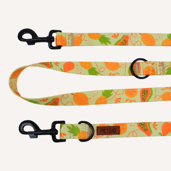 Smycz Przepinana OWOCOWY TROPIK