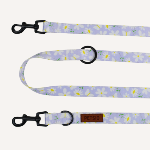 przep stok Smycz dla psa STOKROTKI