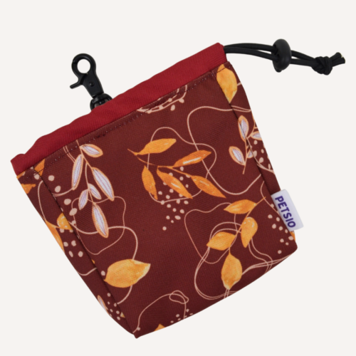 sasz jesienne Saszetka na smaczki dla psa