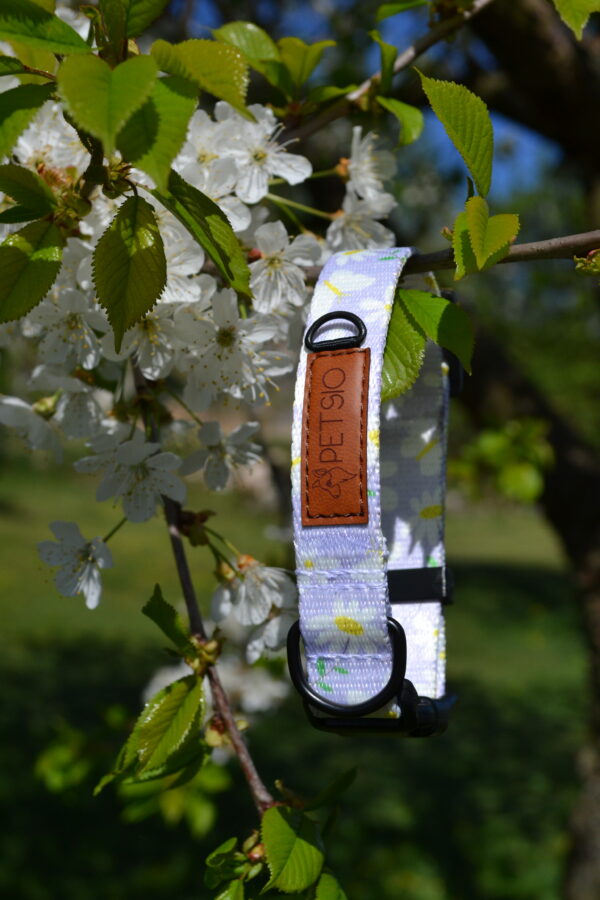 Obroża z klamrą STOKROTKI