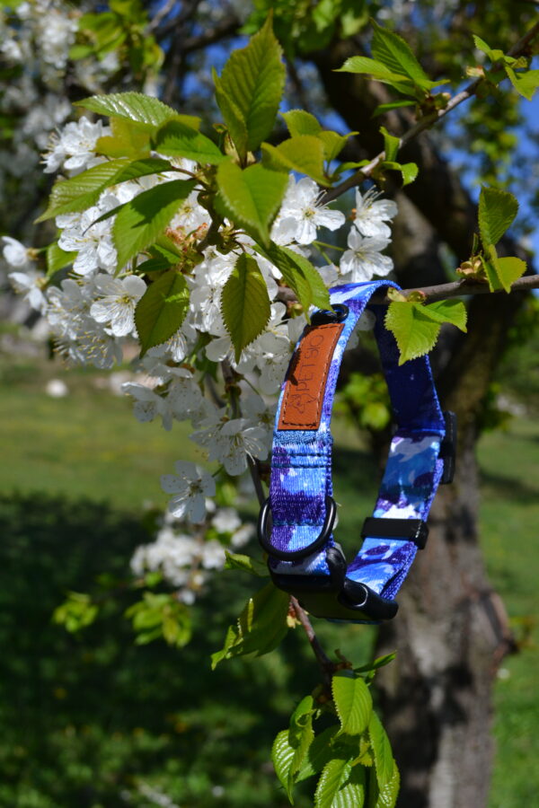 Obroża dla psa oceaniczna głębiaa Obroża dla psa