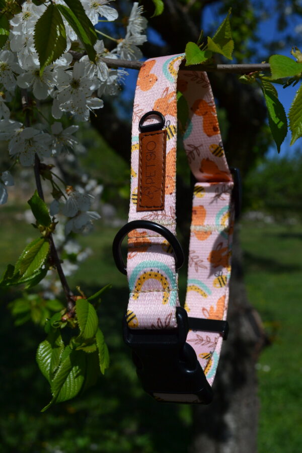 DSC_0033 Obroża z klamrą USZAKI