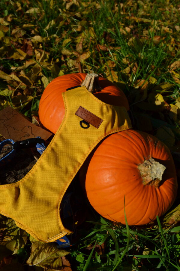 Szelki Bezuciskowe NIEBIESKIE LIŚCIE