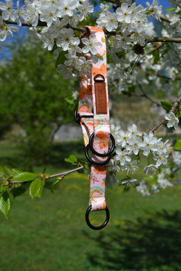 Obroża dla psa USZAKI