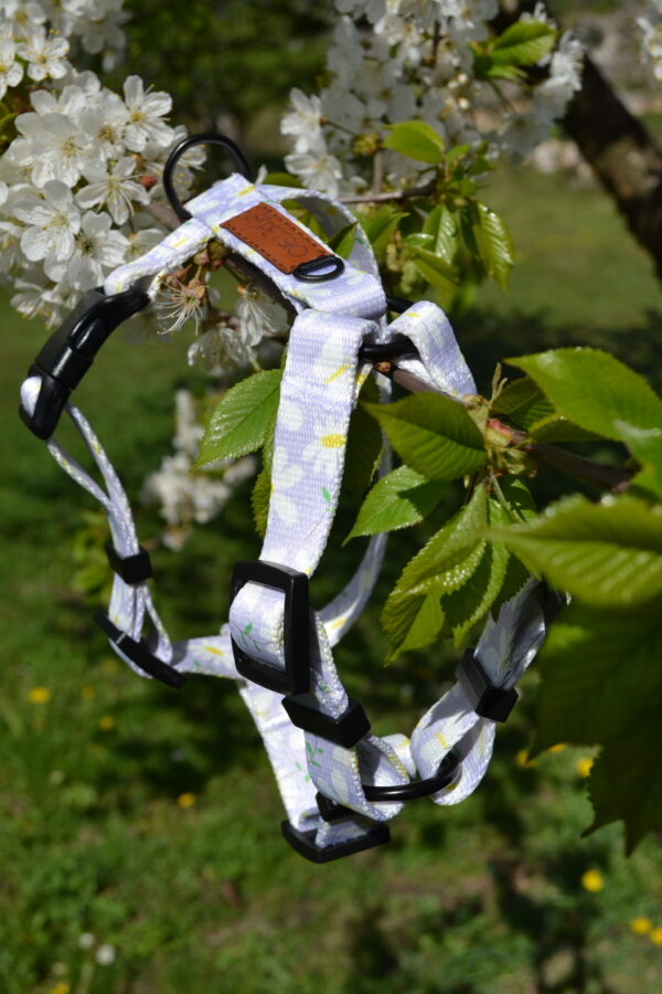 DSC_0078 Szelki Guard STOKROTKI