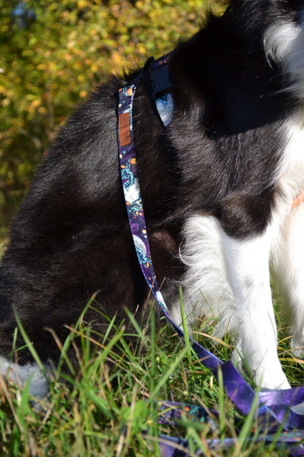 Szelki Guard ASTRONAUTA