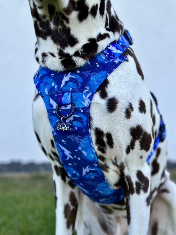 Szelki Bezuciskowe dla psa